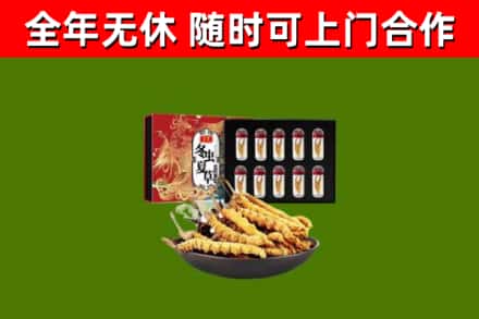 济阳区回收冬虫夏草价格